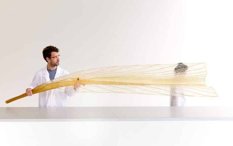 Neri Oxman collaborates with MIT to develop a water-based renewable material
