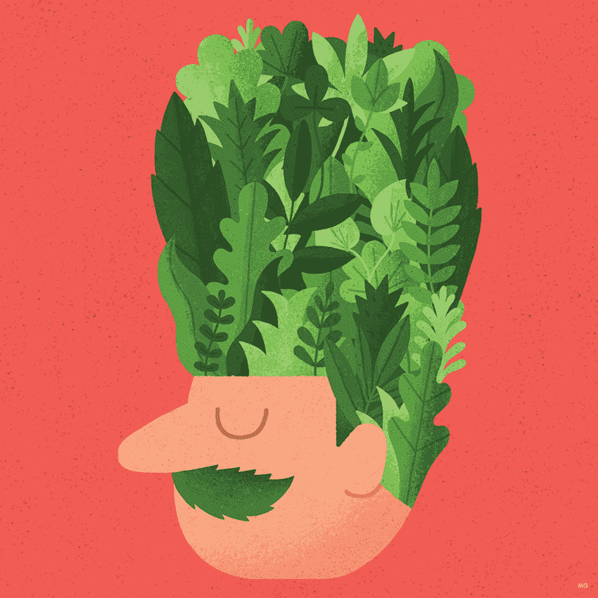 8 questions mauro gatti plants man
