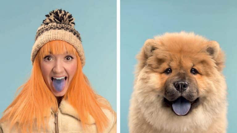 Gerrard Gethings captured photos of dogs and owners in his last project