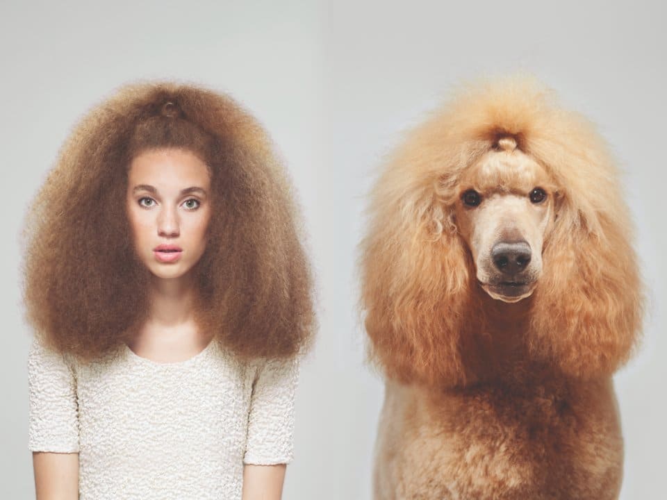 Gerrard Gethings captured photos of dogs and owners in his last project, image 4