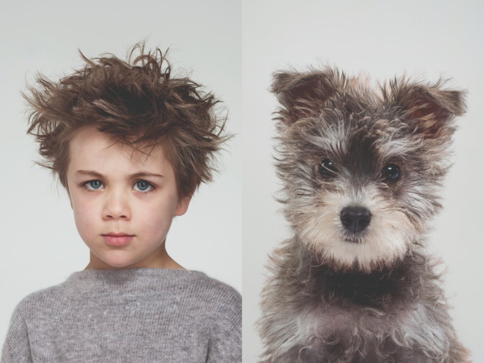 Gerrard Gethings captured photos of dogs and owners in his last project, image 3