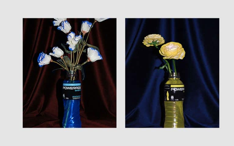 What Happens If You Let Flowers Stew In Energy Drinks