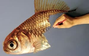 New pieces from the hyperrealistic artist Young-sung Kim