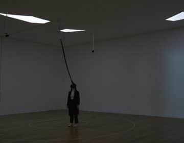 Environments Portrait In A Multifaceted Way