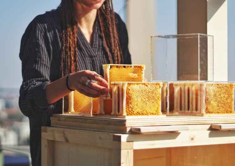 B-box: First Ever Hive Designed For Home Beekeeping