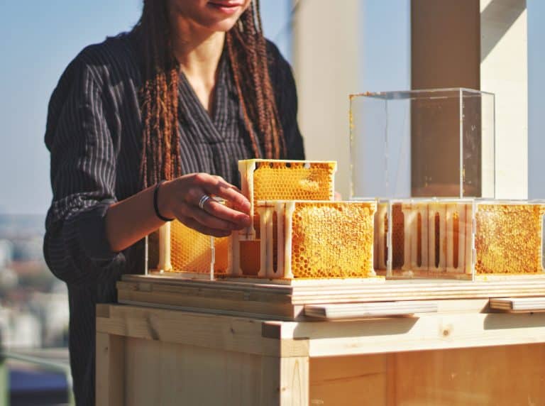 B-box: First Ever Hive Designed For Home Beekeeping