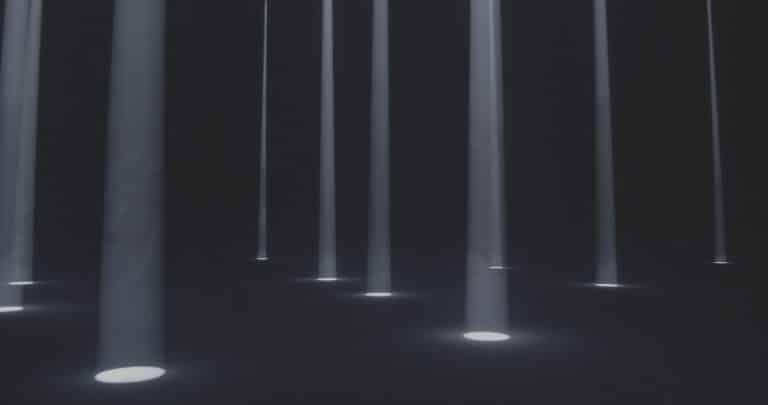 Passifolia: through a forest of lights