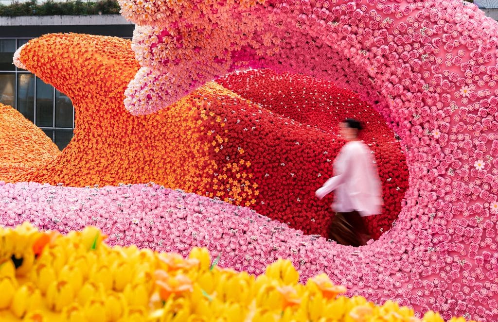 Visitor walking through a curling wave of LEGO roses and flowers